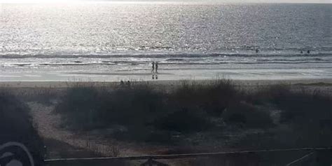 webcam el palmar|Surfcam on the coast of El Palmar Webcam